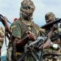 Boko Haram: Niger and Chad launch offensive against Nigeria’s militant group