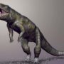 Carnufex carolinensis: Prehistoric crocodile discovered in North Carolina