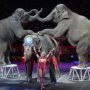 Ringling Bros. Circus to end elephant act by 2018