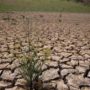 California announces first-ever mandatory water restrictions