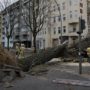 Storm Niklas: At least nine people killed in northern Europe