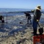 California Oil Spill: Gov. Jerry Brown Declares State of Emergency
