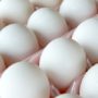 Egg Prices Reach Record Levels in US Bird Flu Outbreak
