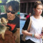 Johnny Depp Ilegally Sneaks His Dogs in Australia