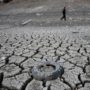California Drought 2015: Farmers Ordered to Reduce Water Consumption