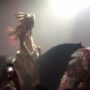 David Guetta Criticized for Using Horse in Ibiza’s Pacha Nightclub Show