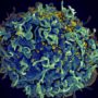 PEP005: HIV Flushed out of Hiding Places by Cancer Drug