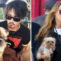 Amber Heard Charged with Smuggling Dogs into Australia