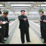 Kim Jong-un Oders Execution of Terrapin Farm Manager