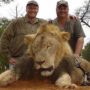 Cecil the Lion: Walter Palmer Wanted by Zimbabwe Police