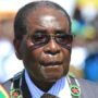 Cecil the Lion: Robert Mugabe Blames Foreign Vandals for Lion’s Death