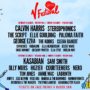 V Festival Celebrates 20th Edition in 2015