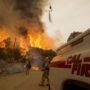 California Wildfires 2015: State of Emergency Declared as Thousands Flee Their Homes