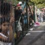 EU Refugee Crisis: Hungary Closes Border with Croatia