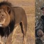 Walter Palmer: Cecil the Lion Killer Cleared in Zimbabwe