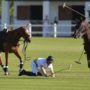 Prince Harry Thrown from His Horse during Polo Match in South Africa