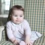 Princess Charlotte: New Pictures Released to Mark 6-Month Milestone