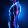 Accidents Happen: Living with Spinal Cord Trauma