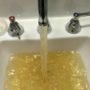Flint Water Crisis Becomes Doctoral Theme Seminar at Wayne State University