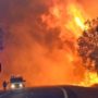 Waroona Fire: At Least Three Missing in Yarloop Bushfire