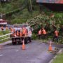 Fiji: Cyclone Winston Death Toll Rises to 29