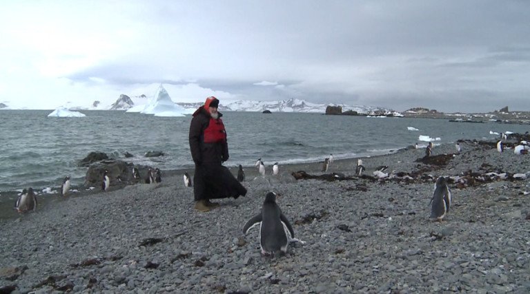 Patriarch Kirill Walking with Penguins in Antarctica