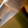 Zika Outbreak: First Case Reported in Europe