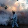 Zika Outbreak: Barack Obama to Ask Congress for $1.8 Billion to Combat Virus