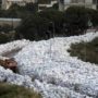 Beirut Trash Crisis: Naameh Landfill Site Reopened after Eight Months