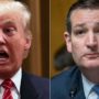 Donald Trump and Ted Cruz Urge Rival Candidates to Quit Nomination Race