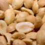 Study: Early Exposure to Peanut Products Offers Long-Lasting Allergy Protection