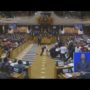 South African Parliament Fight over Jacob Zuma Heckling