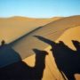 5 Essential Experiences in the Sahara Desert