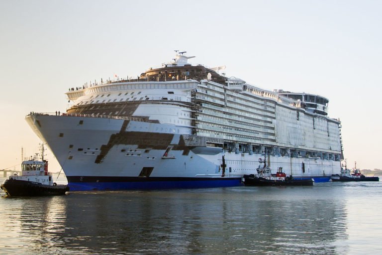 Harmony of the Seas Fatal Accident In Marseille