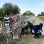 Hungary Votes on EU Refugee Quota
