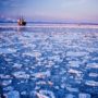 Barack Obama Permanently Bans Offshore Oil and Gas Drilling in Arctic and Atlantic