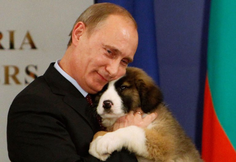 Vladimir Putin Declines Japan’s Offer of Akita Dog as Gift