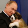 Vladimir Putin Declines Japan’s Offer of Akita Dog as Gift