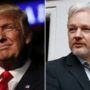 Russian Hacking: Donald Trump Backs Julian Assange