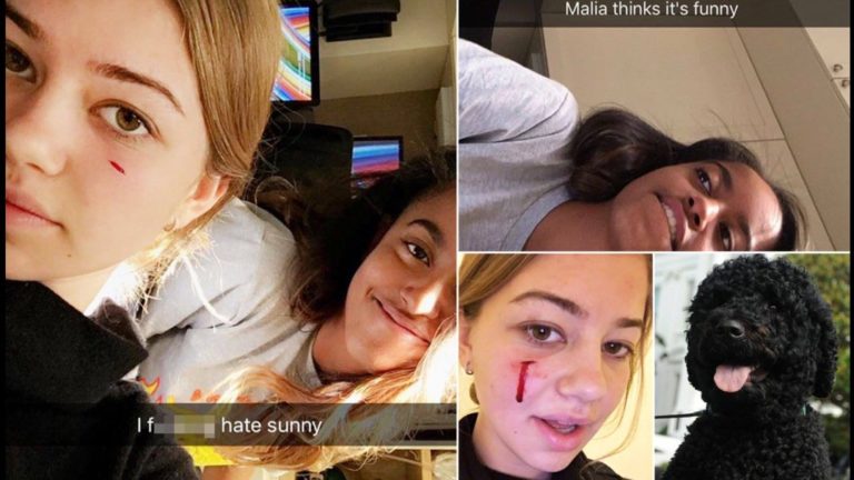 Obama’s pet dog Sunny ‘bites daughter’s friend on face leaving her permanently scarred’