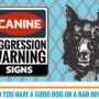 Infographic: Top Canine Aggression Warning Signs