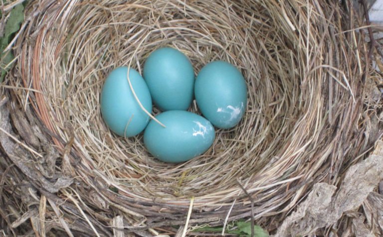 Preparing For Retirement: What You Need To Know