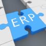 What You can Learn from ERP Case Studies
