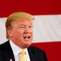 Donald Trump to Attend NATO Summit in Brussels