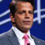 Anthony Scaramucci Removed as White House Communications Director After 10 Days