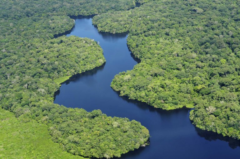 Brazil Abolishes Amazon National Reserve to Open Up Area to Mining