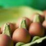 Egg Scandal: 15 EU Countries, Switzerland and Hong Kong Received Contaminated Eggs