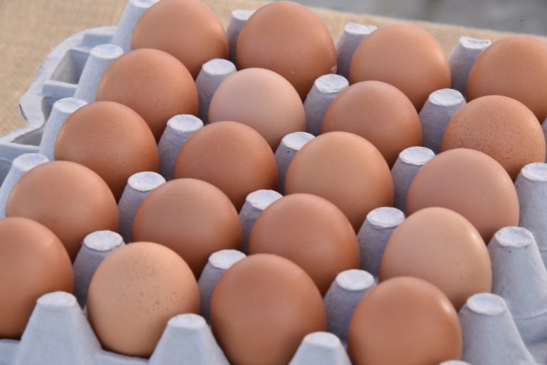 EU Egg Scandal: 20 Tonnes Fipronil-Tainted Eggs Sold in Denmark