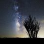 Perseid Meteor Shower 2017: Where, When and How to See It