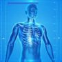 Camera That Can See Through Human Body Developed by University of Edinburgh